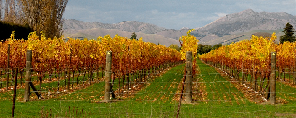 Marlborough, New Zealand